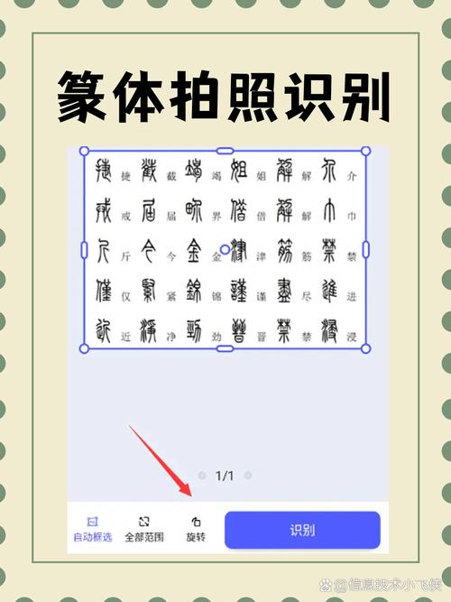 手机拍照数字数的软件图2
