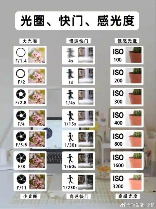 手机拍照数字数的软件图3