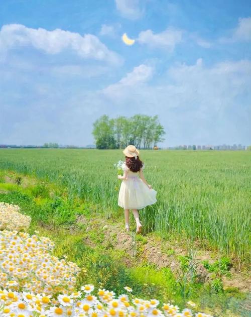 拍照哪种手机最好看图2