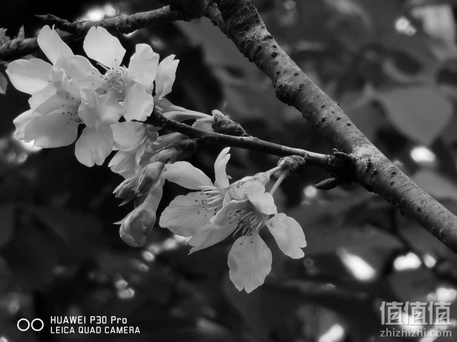 适合投影仪拍照的背景图高清图2