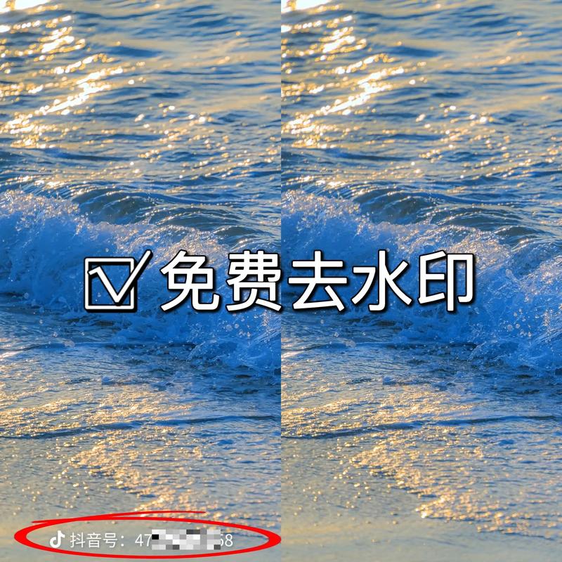 今日水印相机照片去水印图3