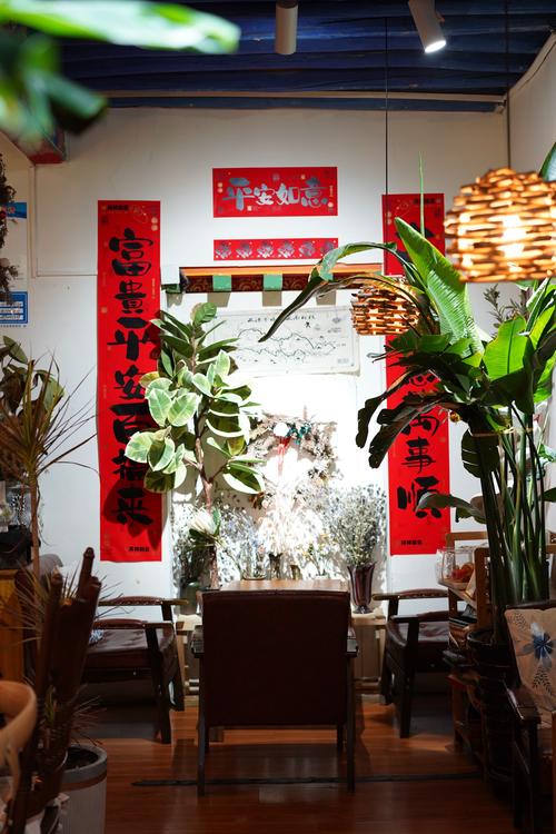 在家拍新年主题的写真,如何布置一个家庭摄影棚?