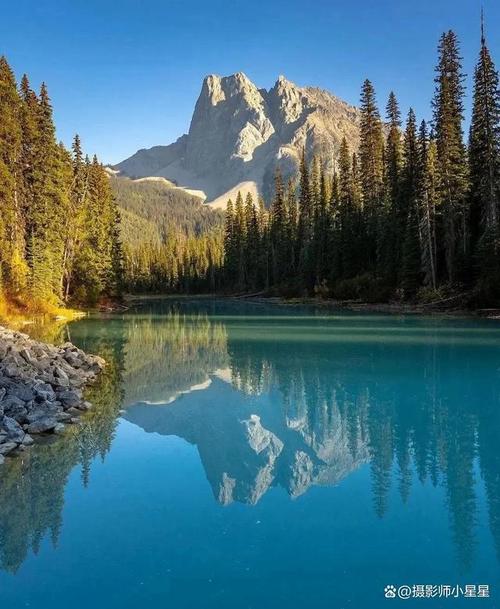 手机倒影拍摄夹怎么用不了图1