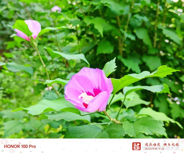 华为手机拍照时间水印