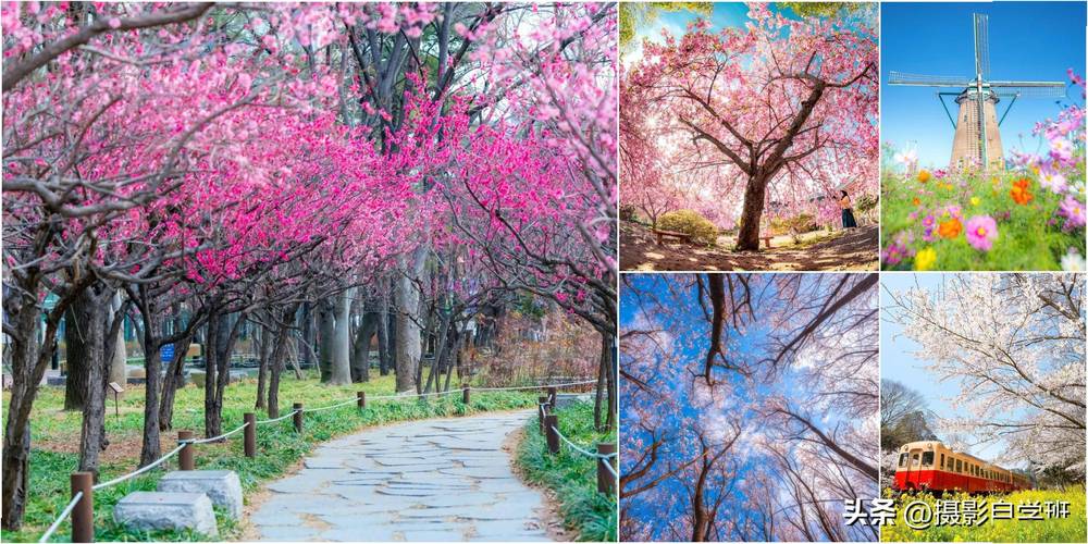 摄影风景的构图技巧