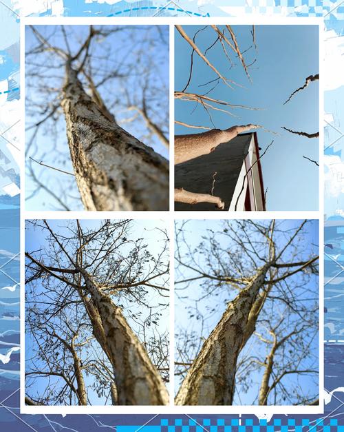 正拍,俯拍,仰拍等角度拍东西有什么作用?