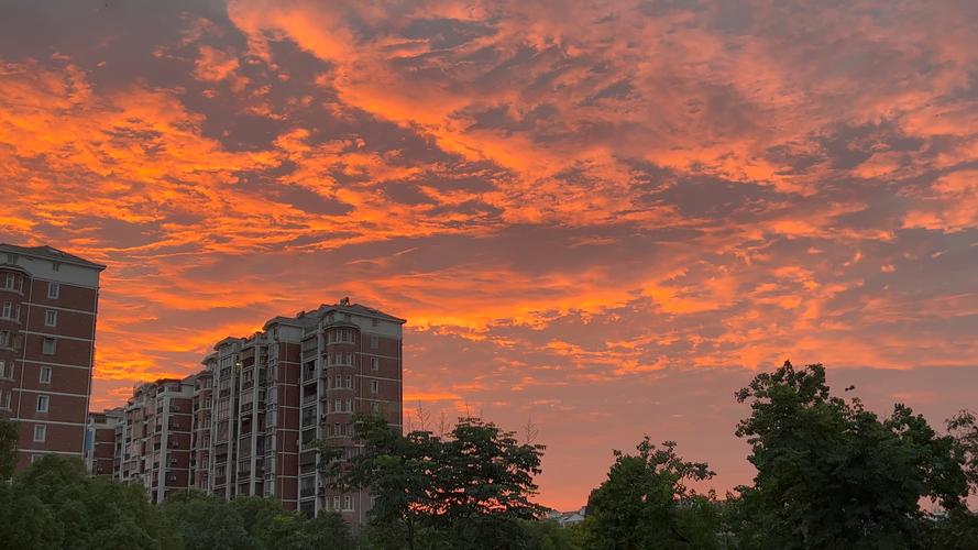 手机原相机拍照技巧图2