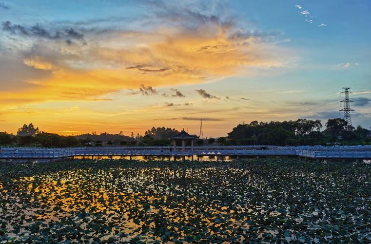 角度不同的图片大全图1