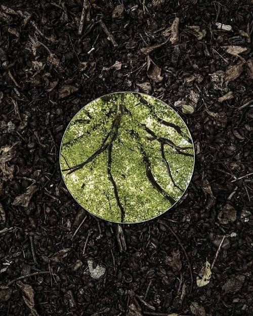 一张图不同角度看有不同的效果