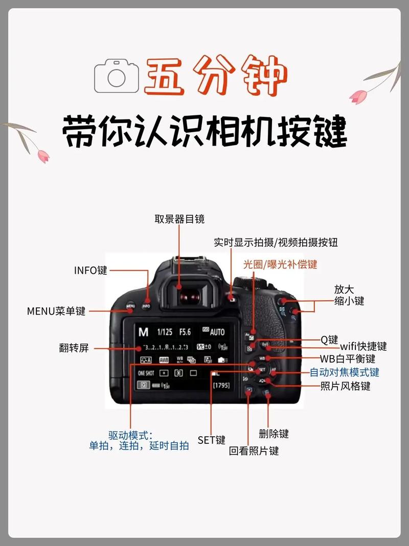 数码相机的基本拍摄操作图1