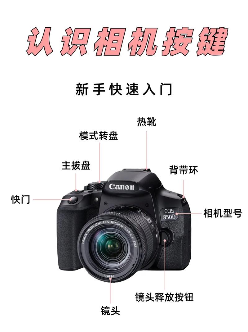 数码相机怎么用