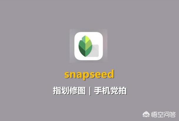 照片怎么设置纯色背景图2