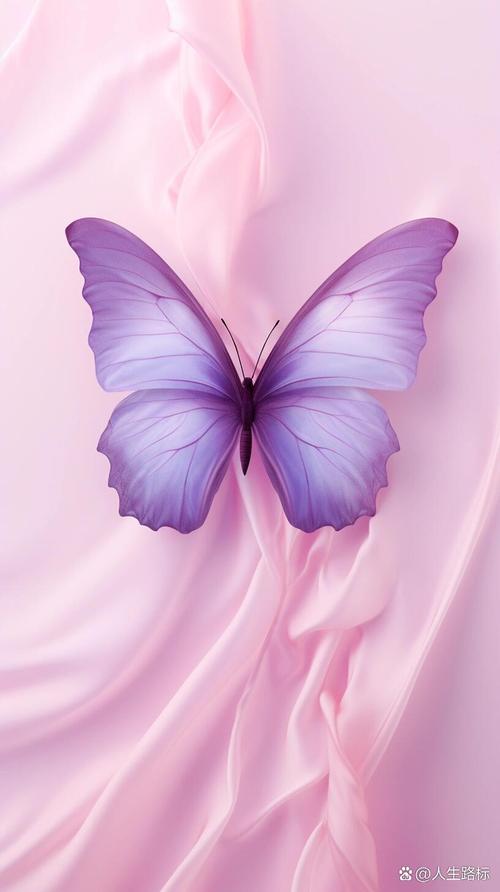 有哪些好看的紫色手机壁纸?