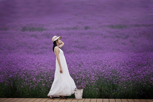 紫色背景穿什么衣服拍照好看图3