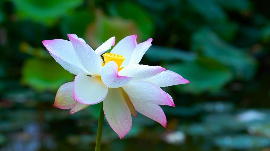 今日水印相机的水印模板图1