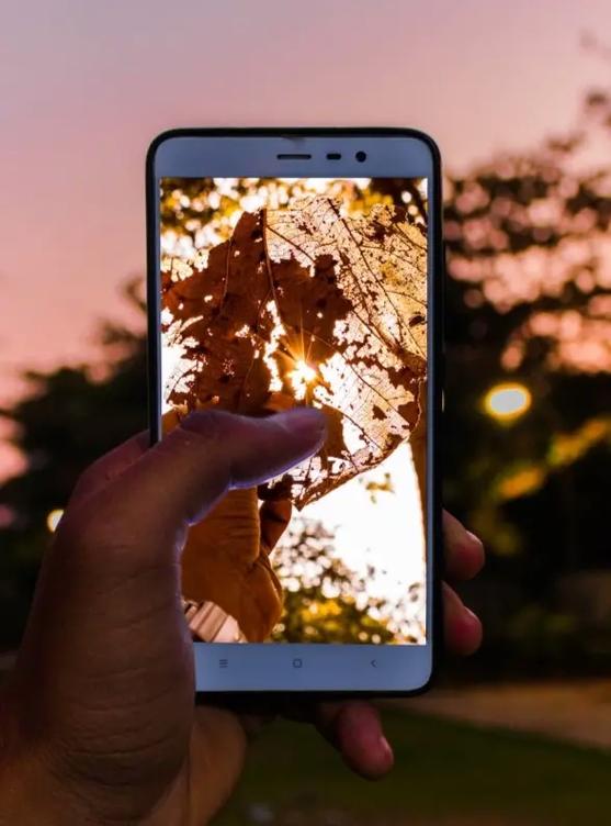 拍照手机哪个效果最好性价比高的推荐图2