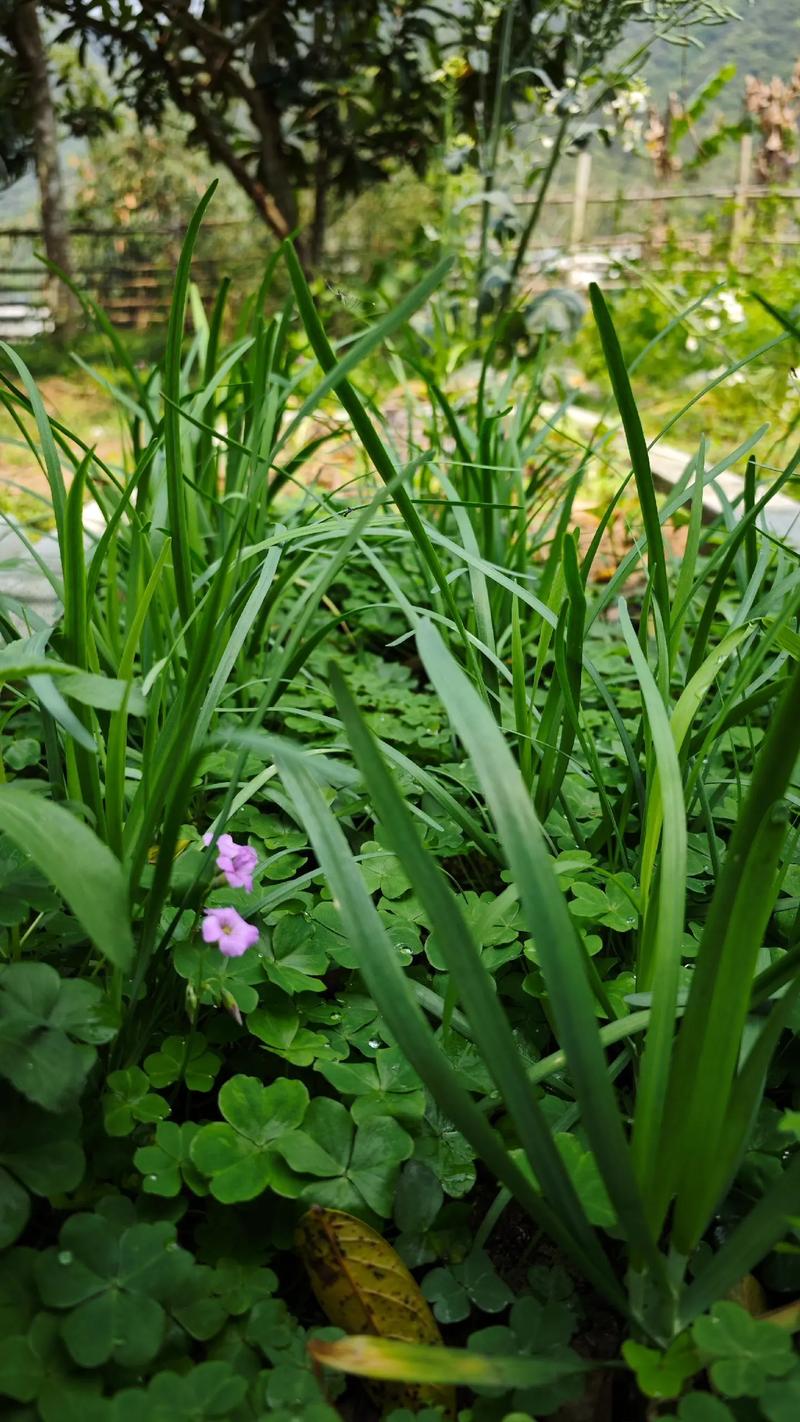 照相好看的手机软件图2