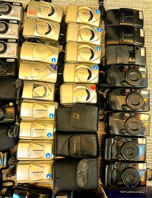 相机水平线怎么开图3