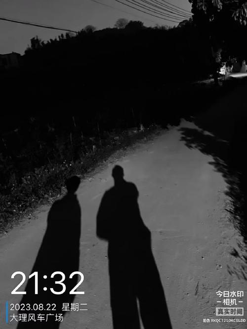 水印相机为什么在光线不好的时候拍的照片是黑的