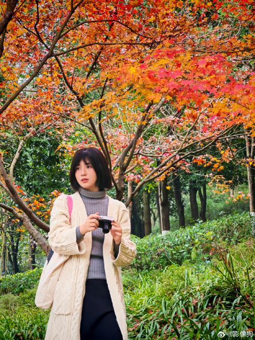 拍照手机哪款最好性价比图3