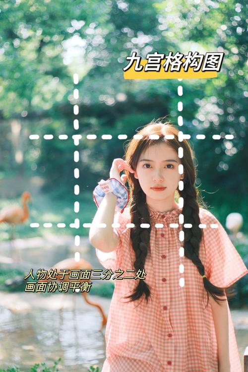 拍照技巧入门构图方法图3