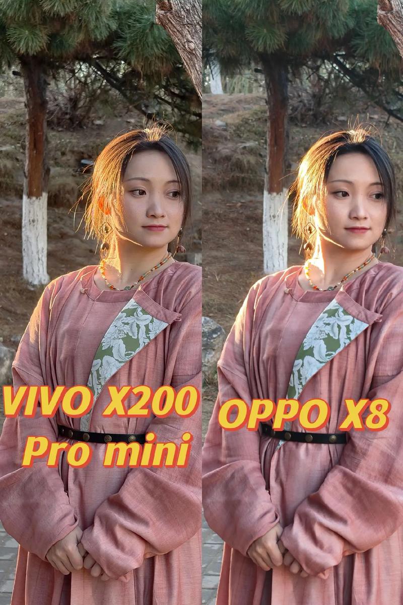 不同相机拍出来的照片图2