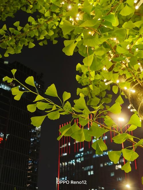 oppo哪款手机拍照效果最好测评图1