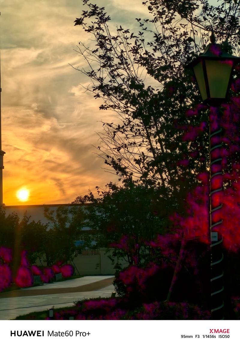 华为哪款手机拍照效果最好