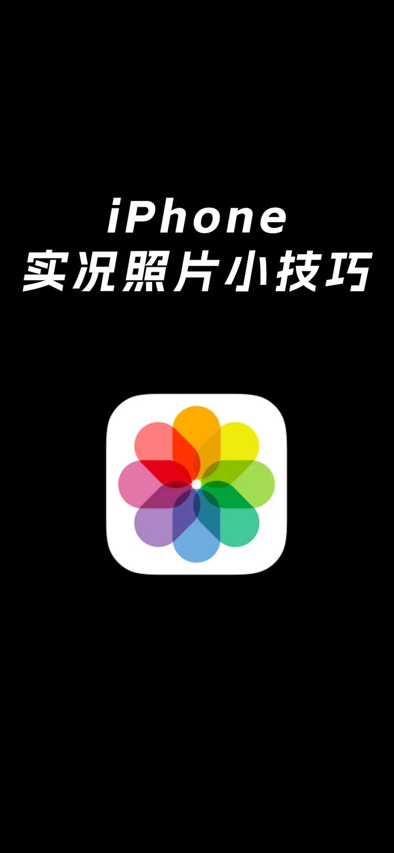 苹果手机怎么把图片做成视频播放图2