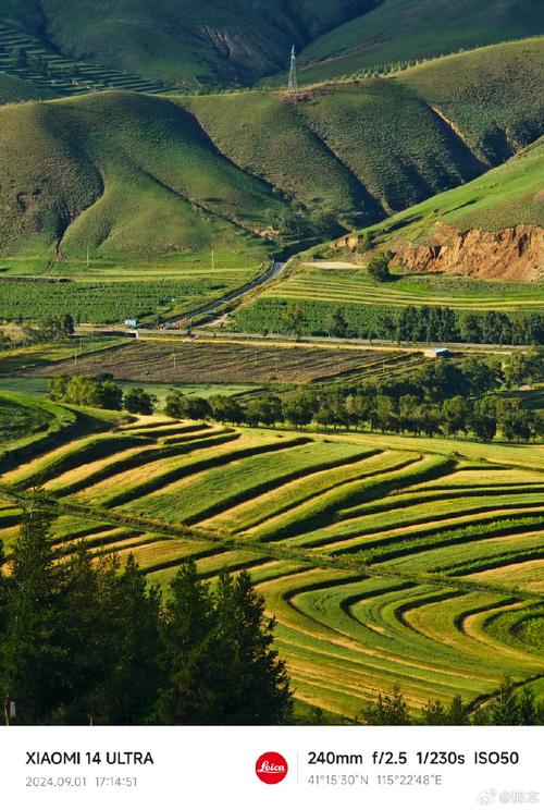 小米手机拍照效果最好的是哪一款图1