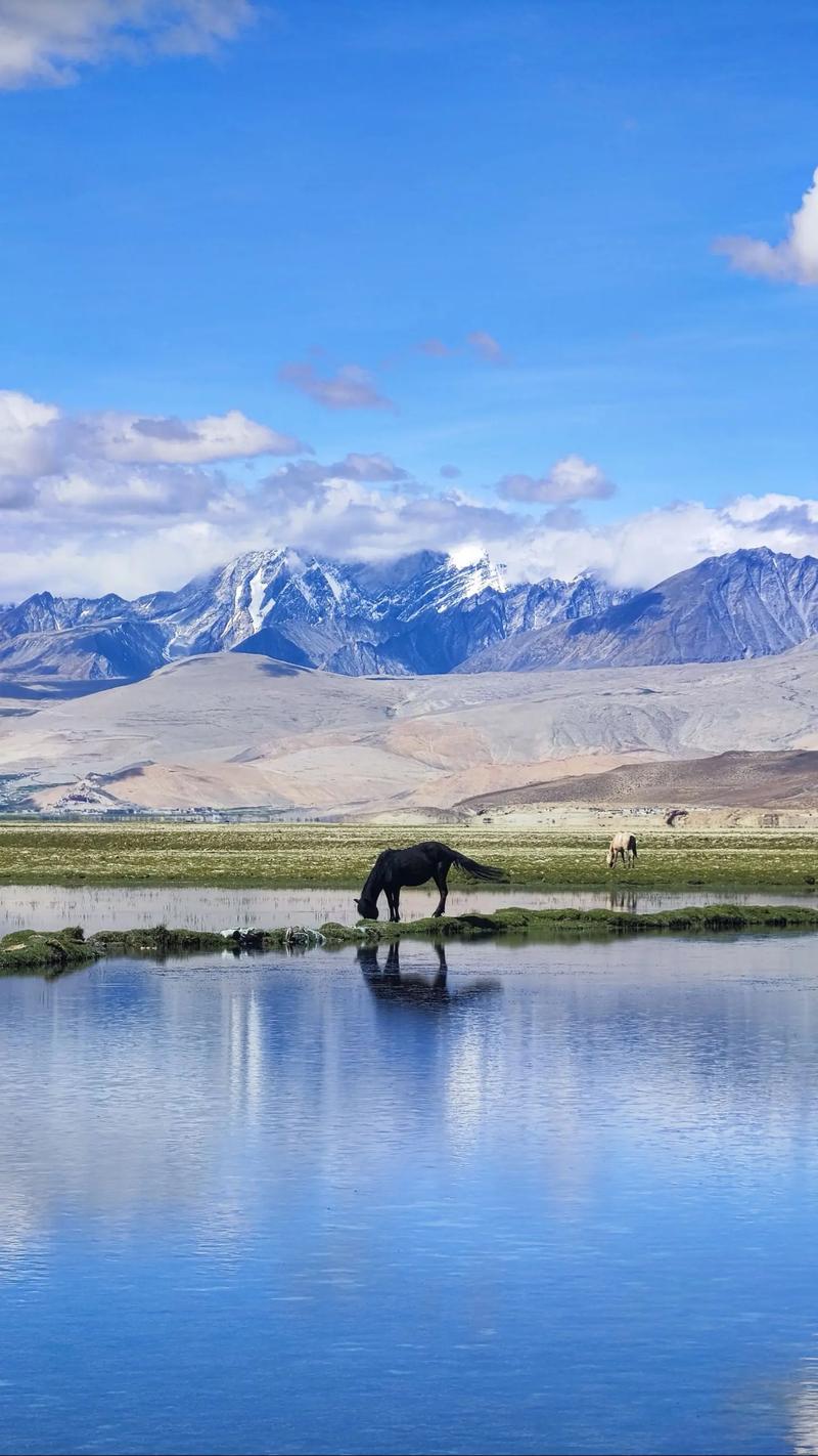 2023公认最好拍照手机