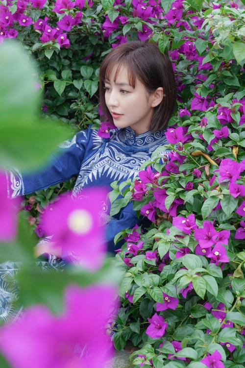 紫色纯色背景图高清图1