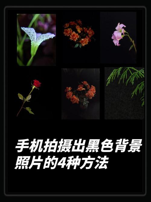 产品摄影技巧:纯黑背景照片怎么拍?