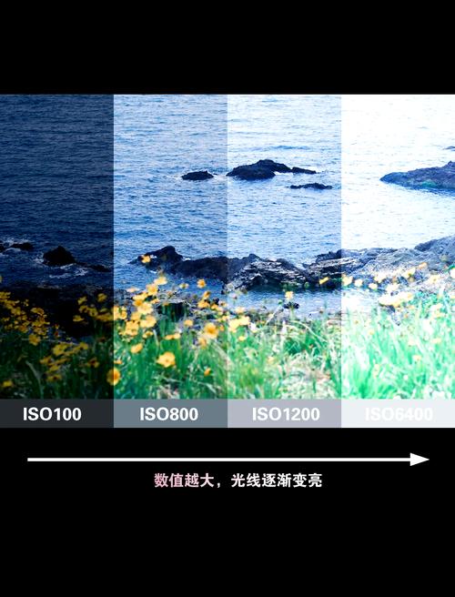 单反相机的ISO在哪里调整?