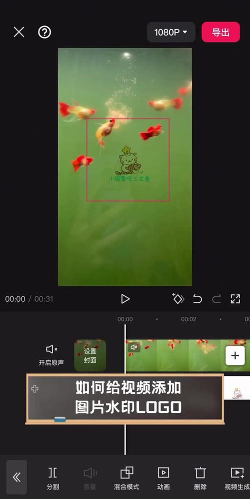 怎么给视频加水印