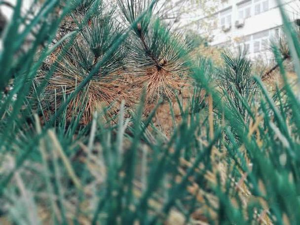 荣耀手机怎么把模糊的照片变清晰