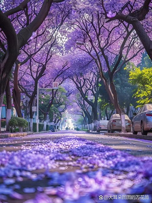 紫色配什么颜色