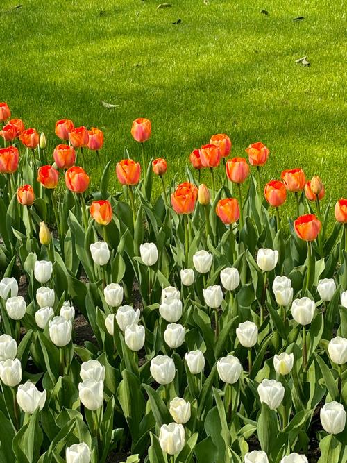 推荐几张好看的背景图片