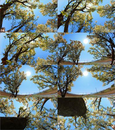 视频素材是怎么样的