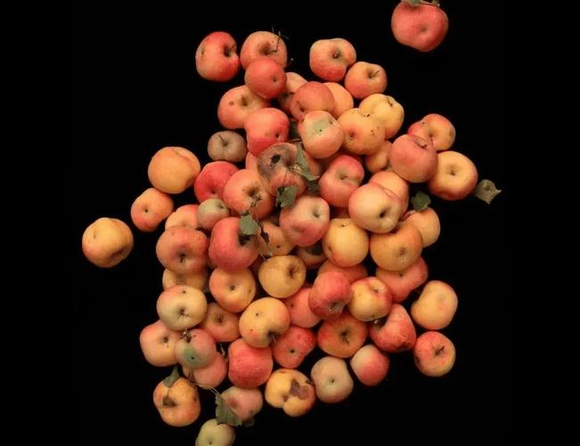 为什么苹果叫死亡前置