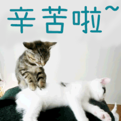 幽默回应辛苦了表情包