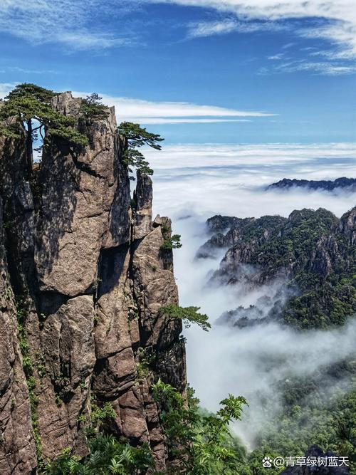 华为哪款手机拍照最好?