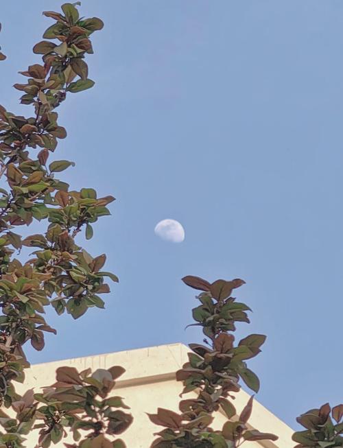 华为手机怎么拍月亮更清晰