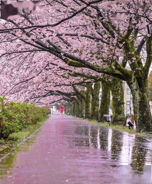 拍风景的正确构图方法视频