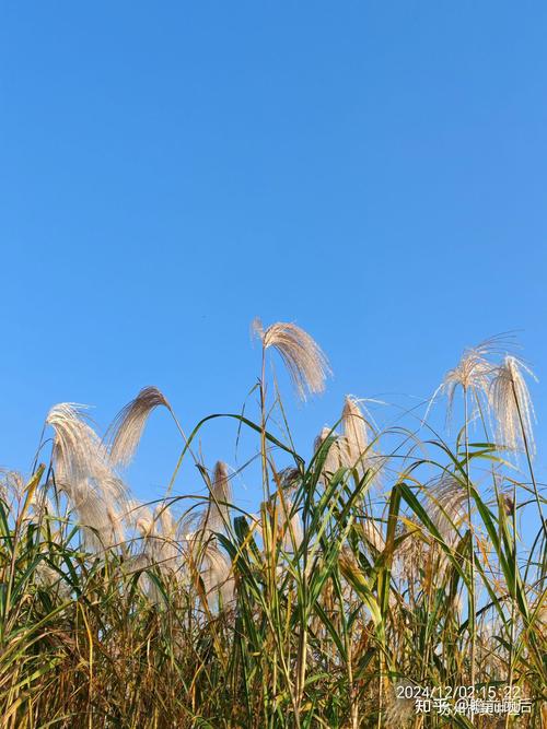 风景照拍摄技巧和构图
