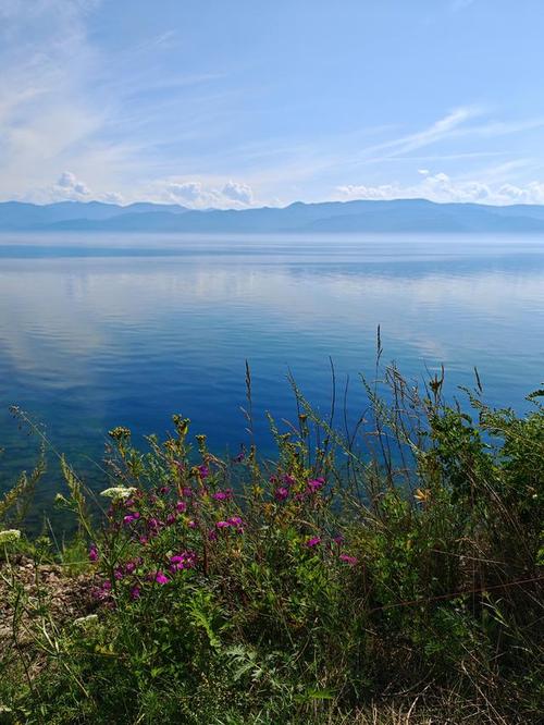 拍视频最清晰的手机是哪款手机