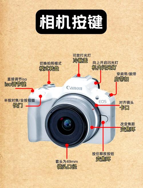 佳能相机怎么恢复默认参数