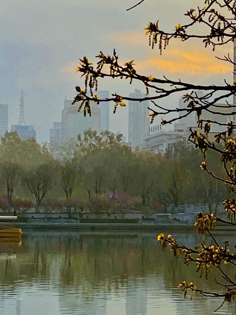 拍照最好的手机