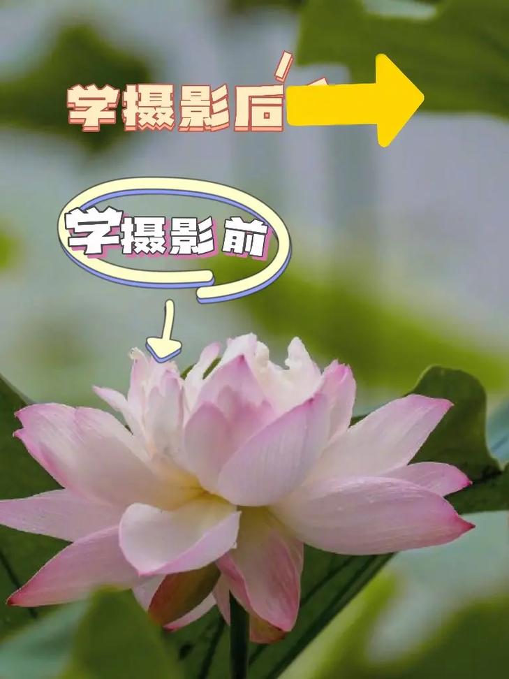 手机拍照技术的基本知识