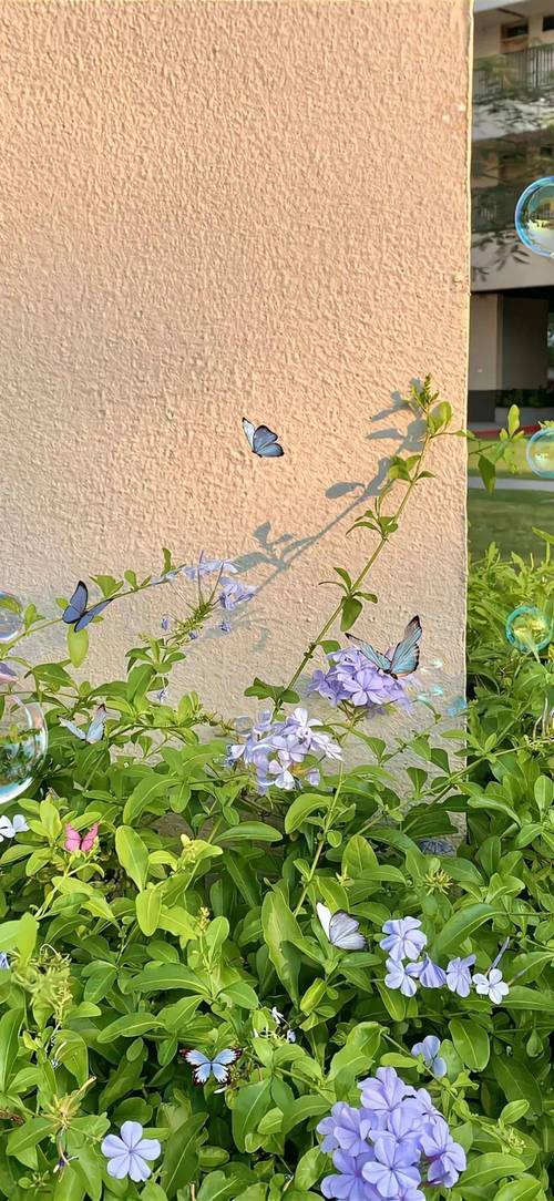 Ins风唯美背景图片!超好看的微信背景图~